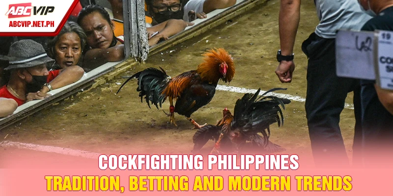 cockfighting Philippines