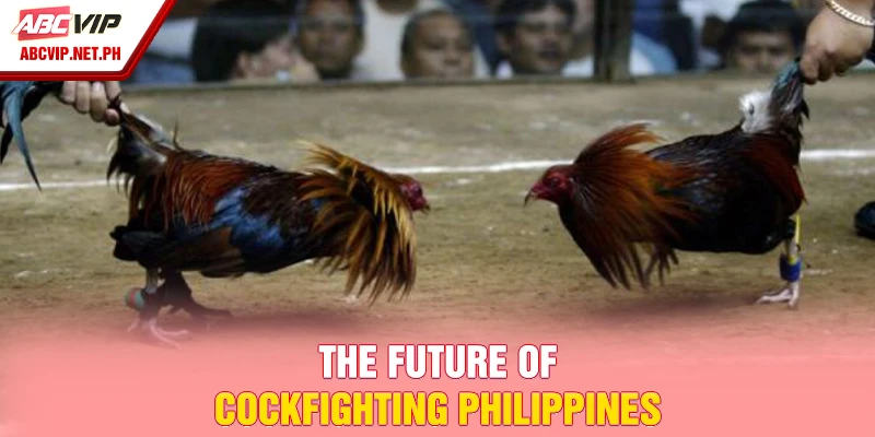 The future of cockfighting Philippines