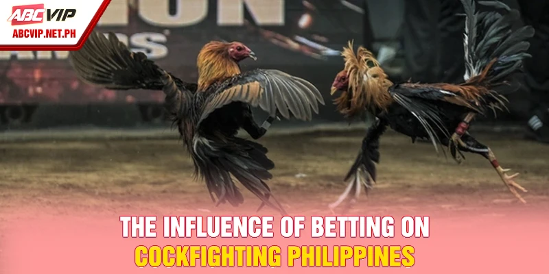 The influence of betting on cockfighting Philippines